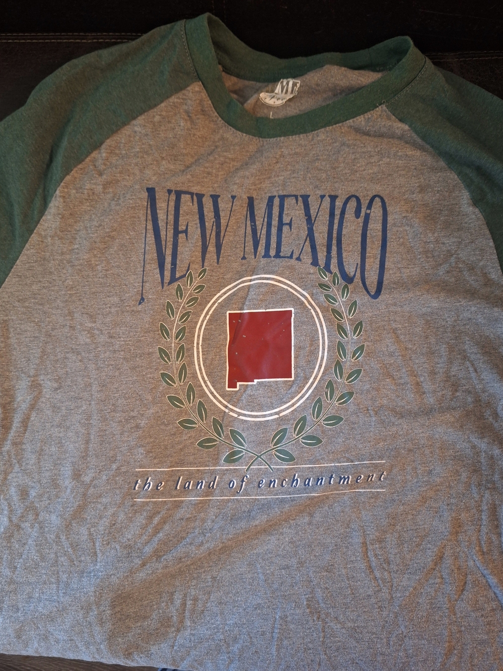 New Mexico Raglan Long Sleeve Tee - Gray and Green